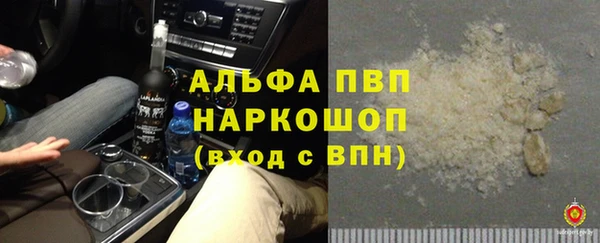 сатива Алзамай