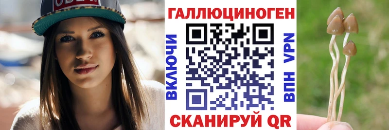 где купить наркотик  MEGA   Псилоцибиновые грибы Magic Shrooms  Муром 